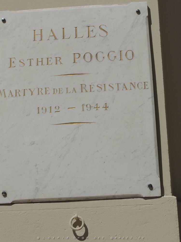 58 Toulon Les Halles.JPG -           